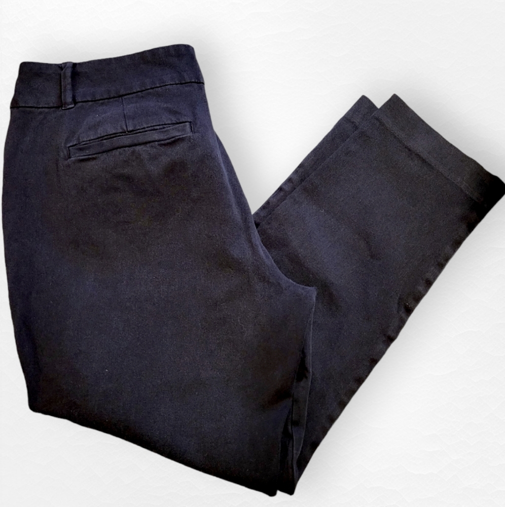 Ann Taylor Loft black skinny ankle petite size 10P